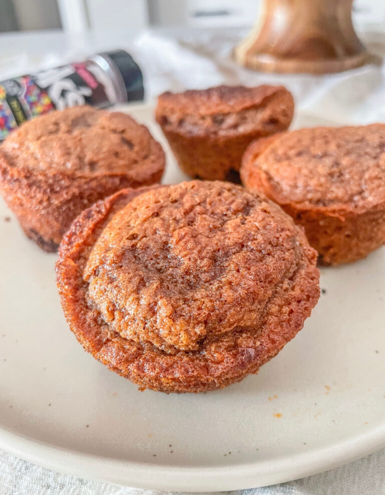 Double Chocolate Oatmeal Muffins